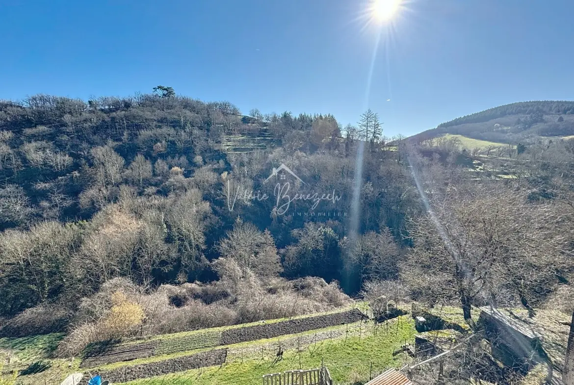 Maison en pierres avec terrasse et vue dégagée à Saint-Sernin-sur-Rance - 3 pièces 