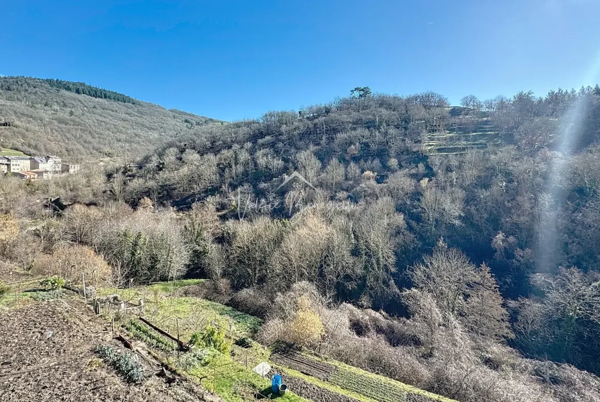 Maison en pierres avec terrasse et vue dégagée à Saint-Sernin-sur-Rance - 3 pièces 