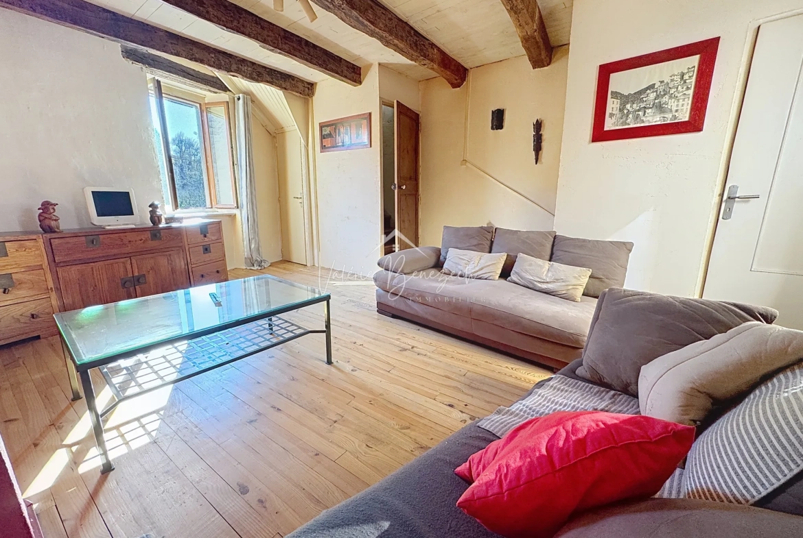 Maison en pierres avec terrasse et vue dégagée à Saint-Sernin-sur-Rance - 3 pièces 