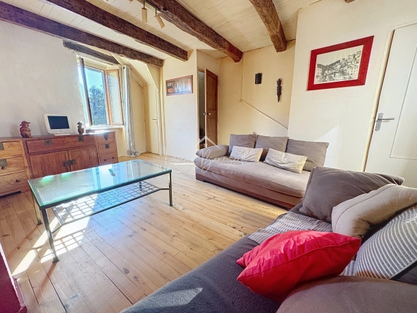 Maison en pierres avec terrasse et vue dégagée à Saint-Sernin-sur-Rance - 3 pièces