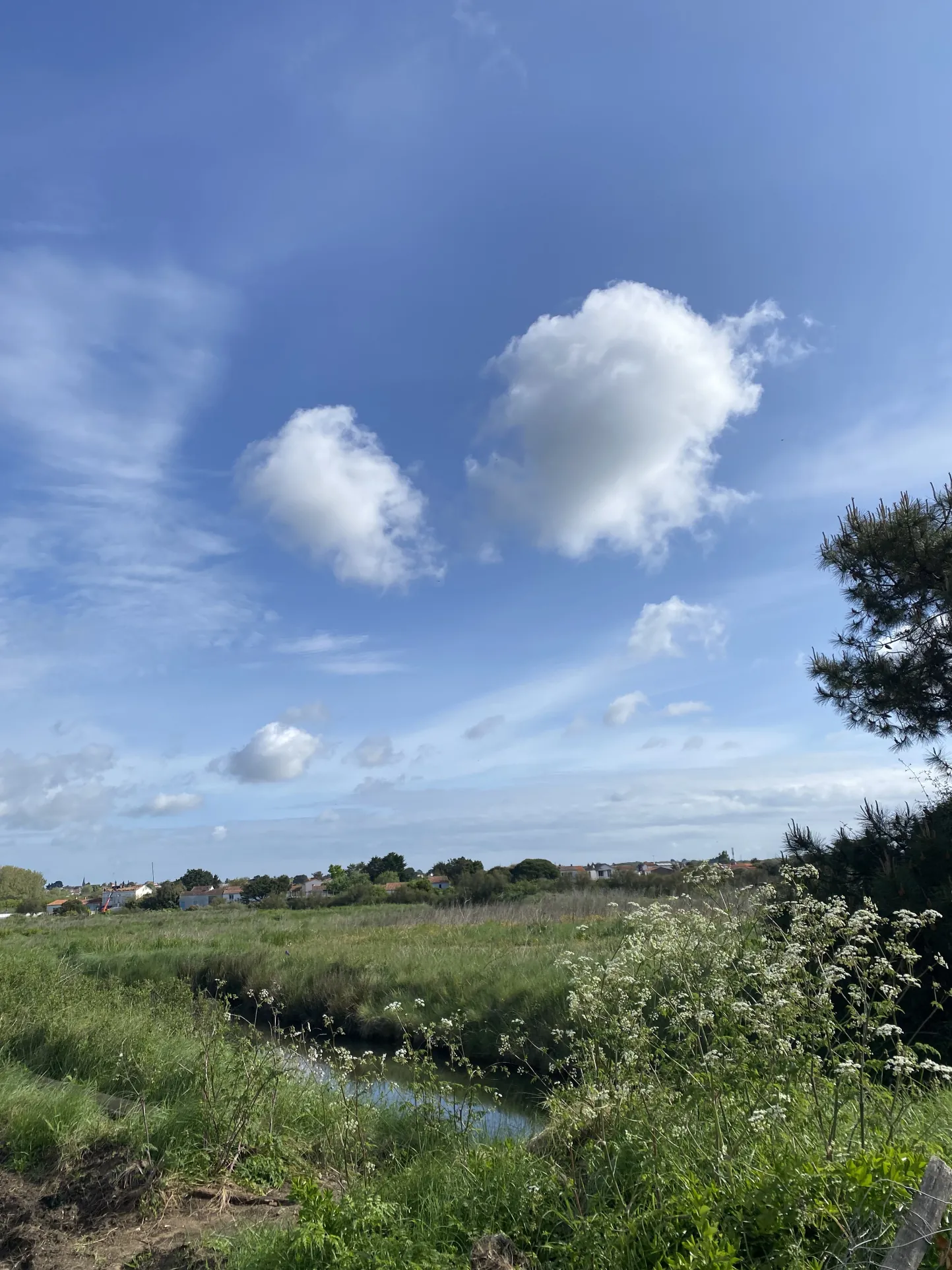 Opportunité à Brem-sur-Mer : bâtiment ancien et terrain constructible de 268 m² près de la plage 