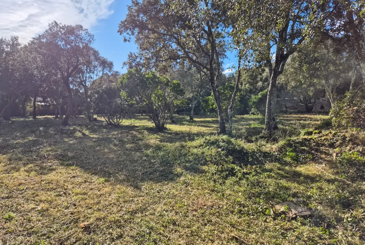Superbe terrain de 2946 m² à Saint-Siffret, en zone naturelle, idéal pour construire 