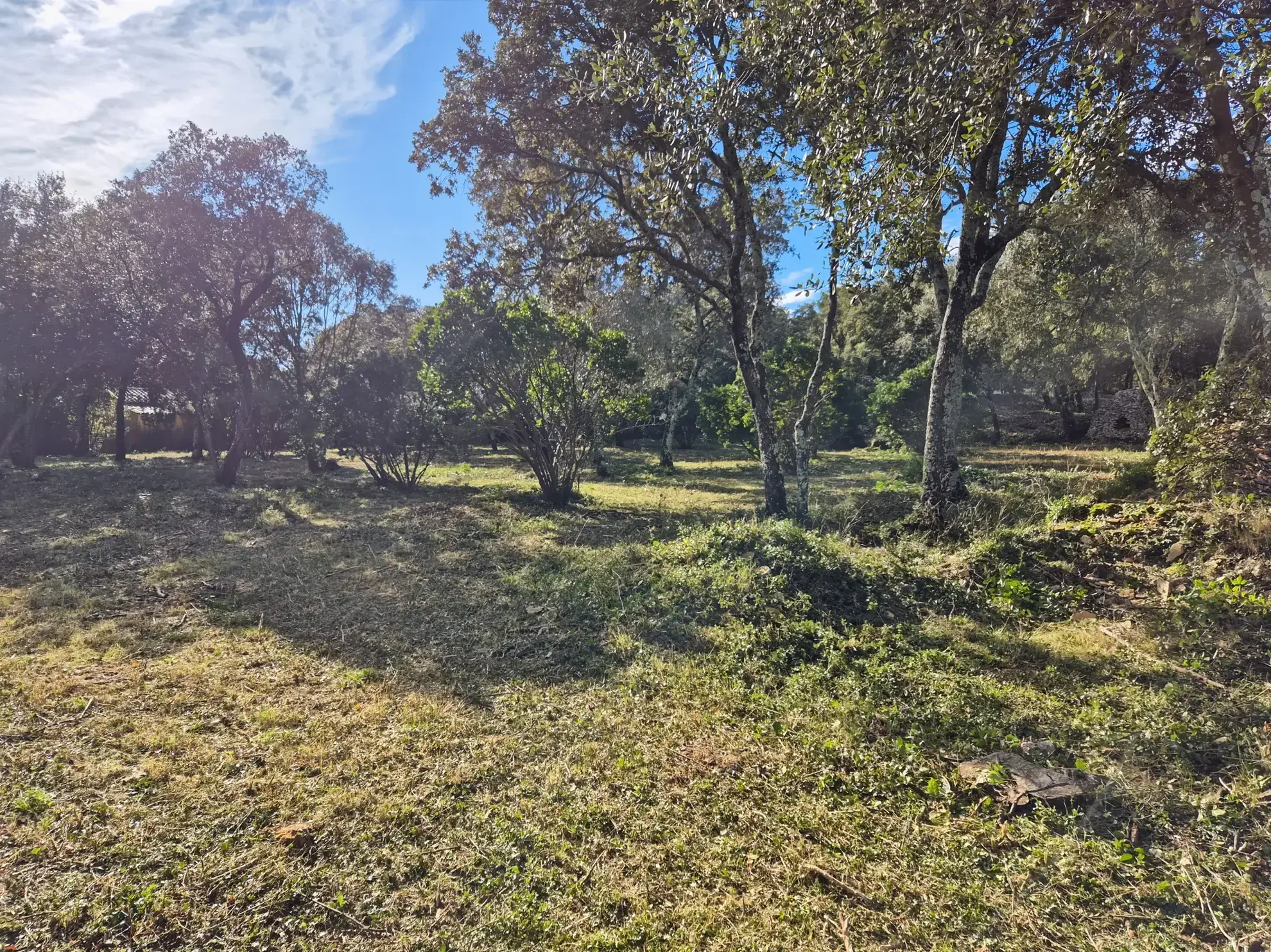Superbe terrain de 2946 m² à Saint-Siffret, en zone naturelle, idéal pour construire 