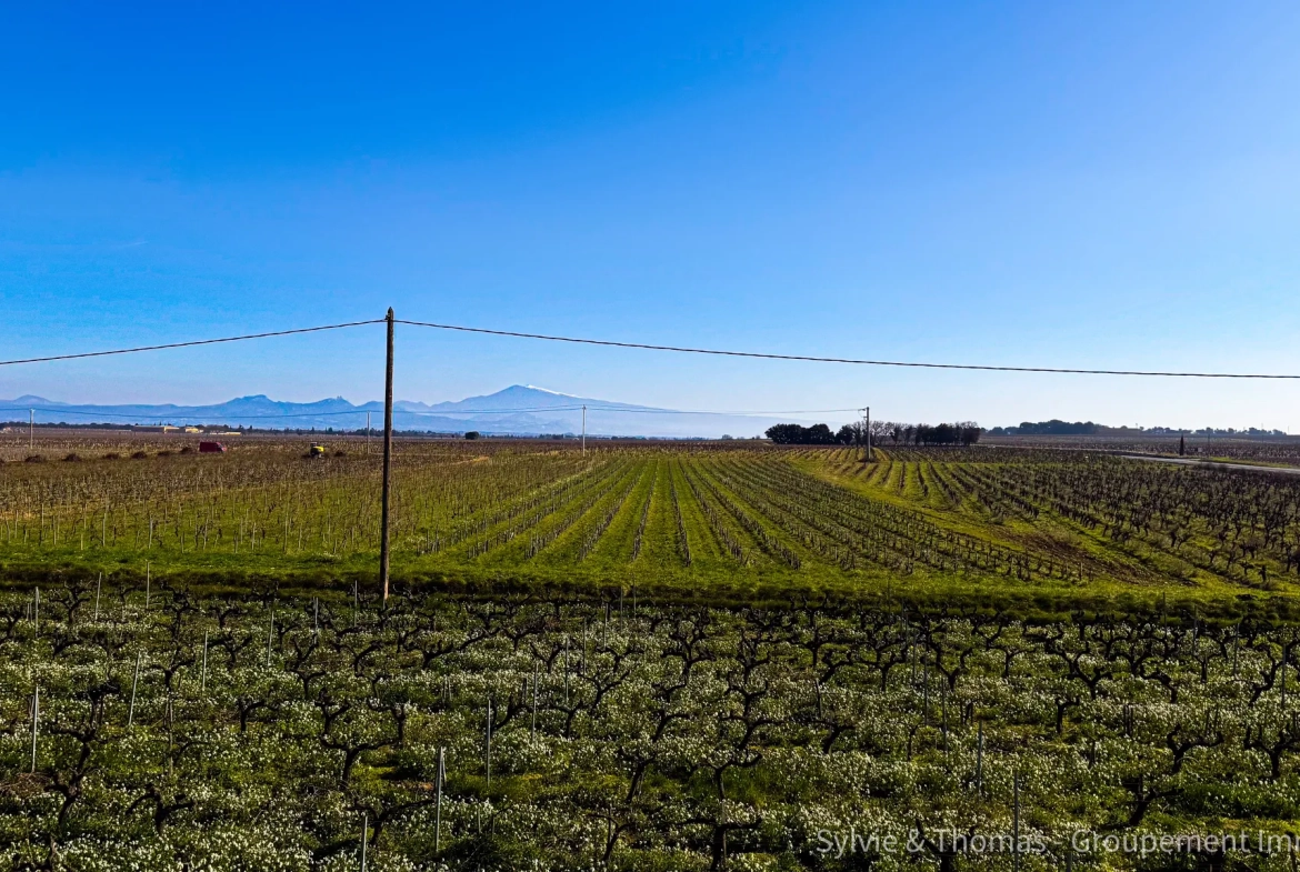 Maison à rénover de 91 m² avec vue sur le Mont Ventoux à Orange 