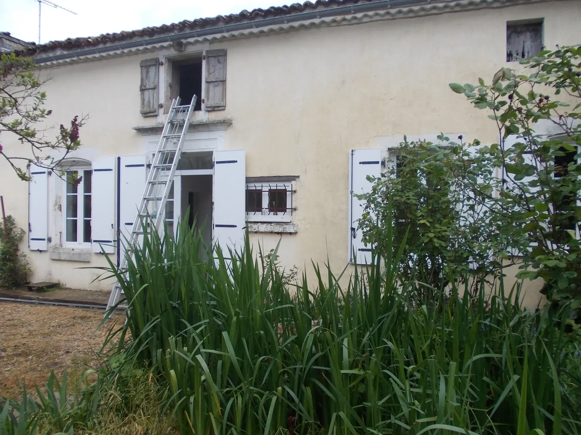 Belle maison de village charentaise à rénover avec dépendances et terrain spacieux à Aumagne 