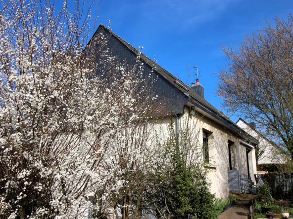 Maison à vendre à Pont-Pean – Grand potentiel et emplacement privilégié