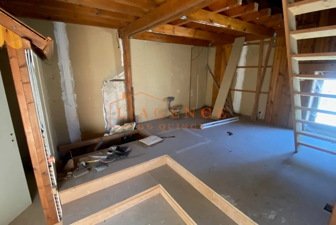 Maison à rénover de 87 m² à Villemareuil, proche des commodités 