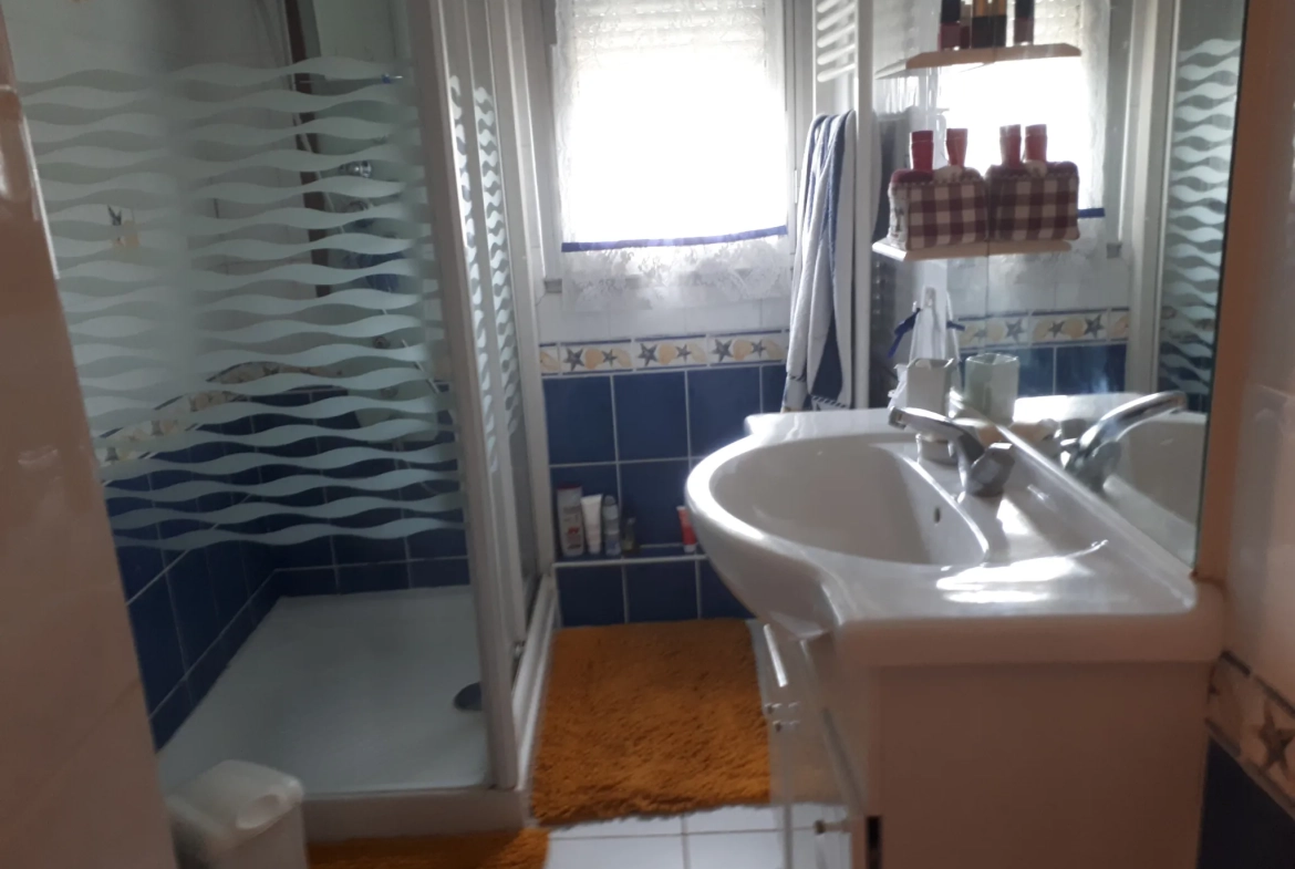 Charmante maison de 166 m² à vendre à Chatellerault avec jardin et garage 