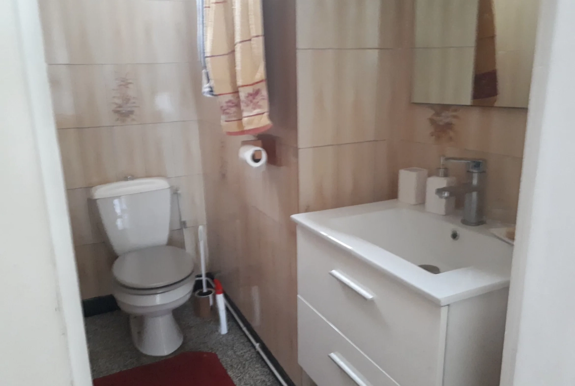 Charmante maison de 166 m² à vendre à Chatellerault avec jardin et garage 