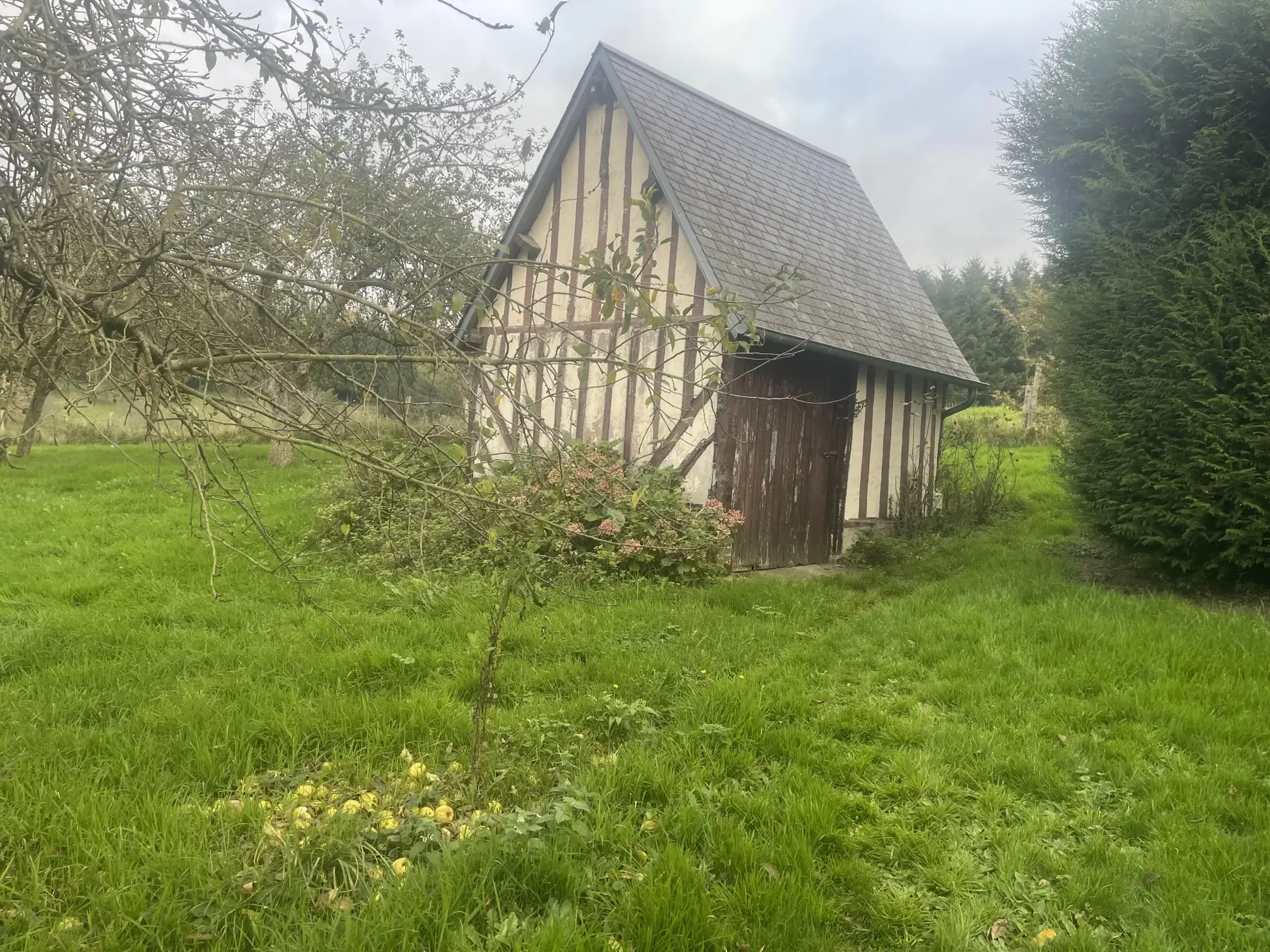 Charmante maison de 170 m² avec terrain à Camembert en vente 