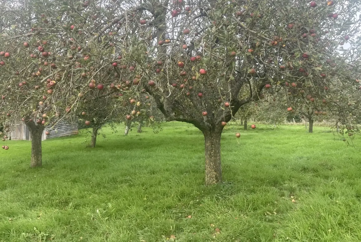 Charmante maison de 170 m² avec terrain à Camembert en vente 