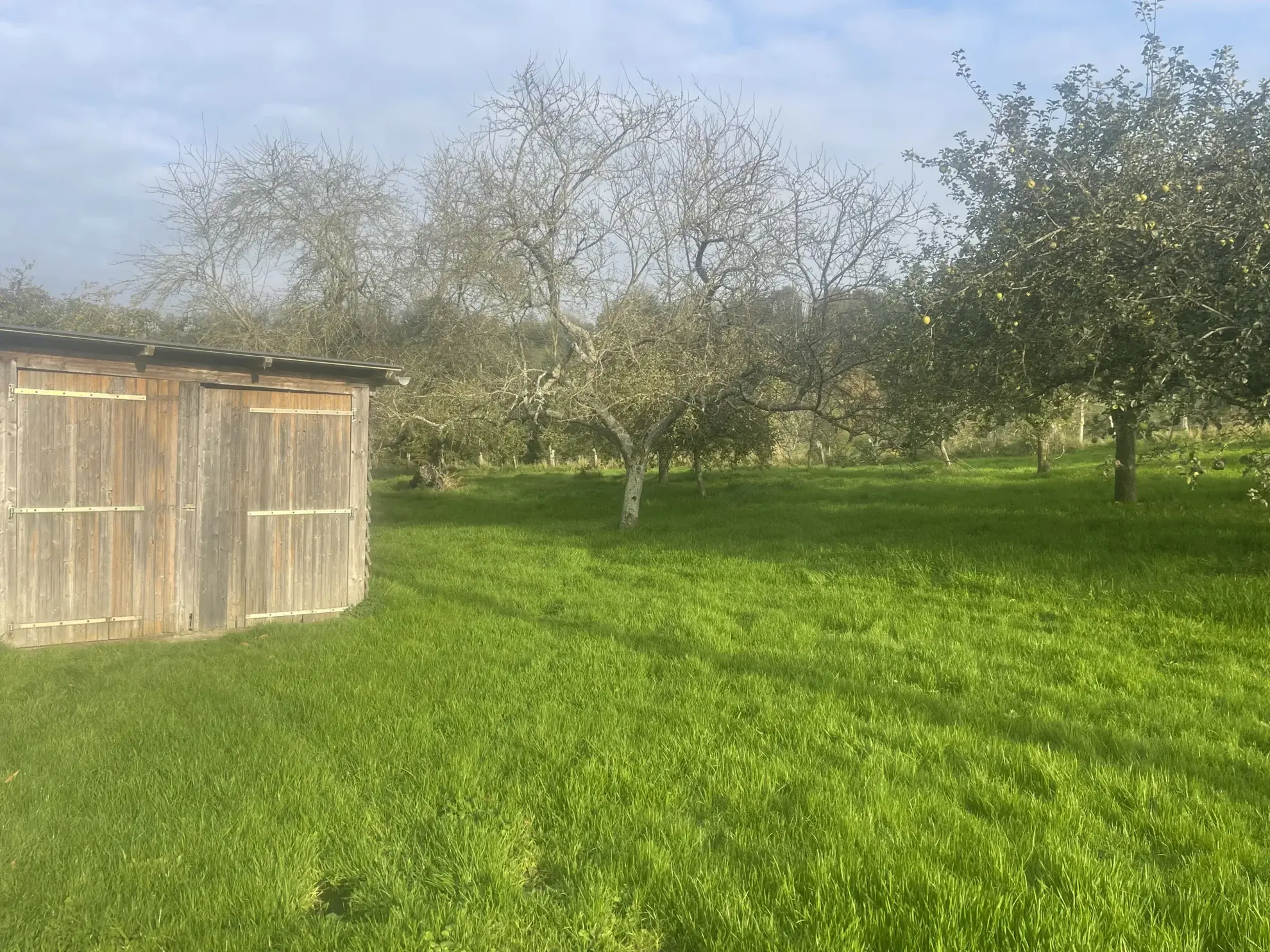 Charmante maison de 170 m² avec terrain à Camembert en vente 