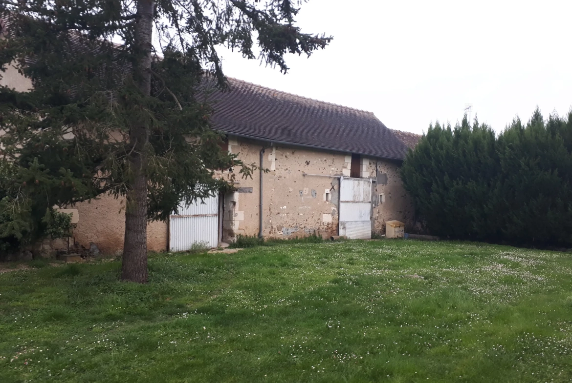 Magnifique propriété avec étang, jardin arboré et dépendances à Les Ormes 