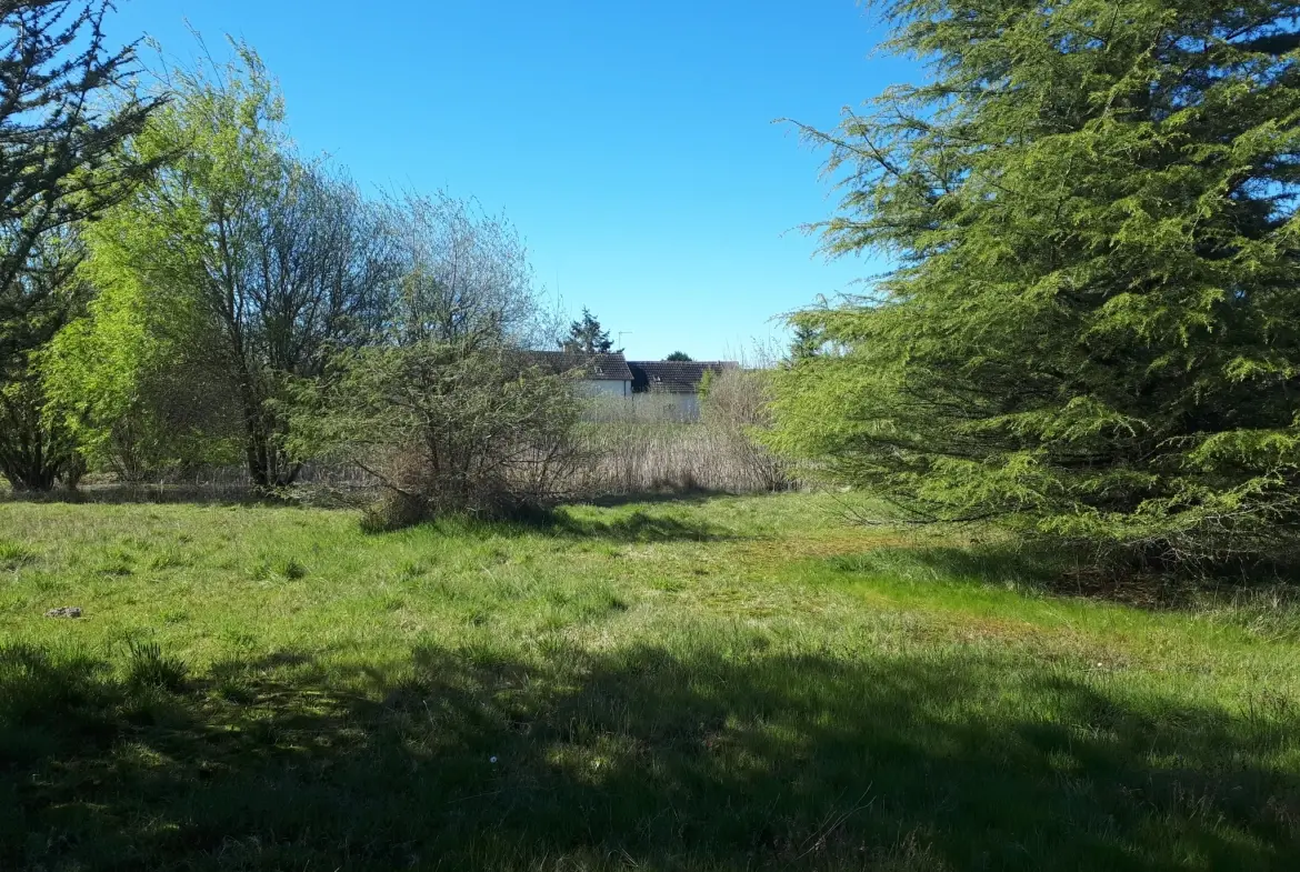 Magnifique propriété avec étang, jardin arboré et dépendances à Les Ormes 