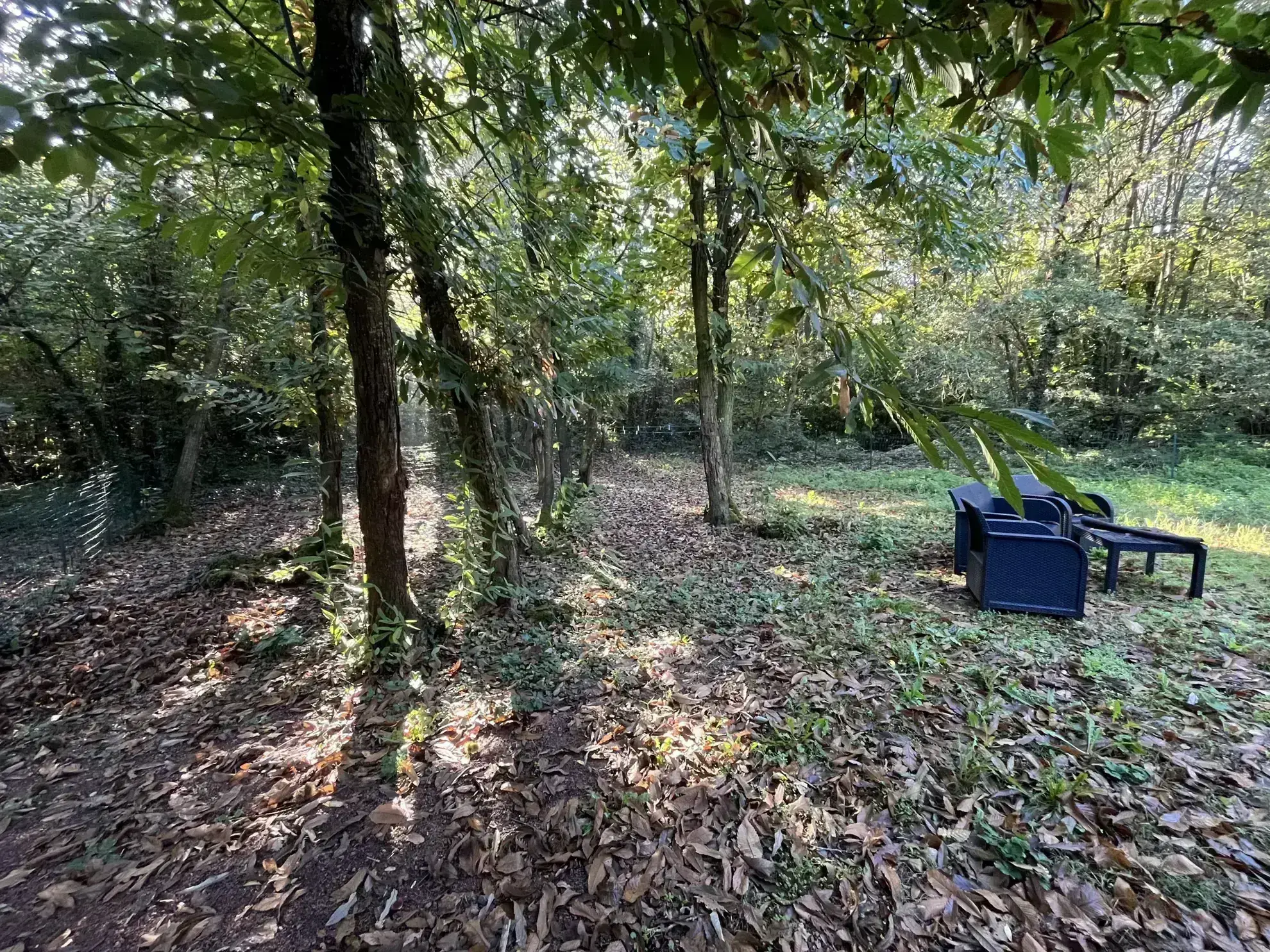 Maison de plain-pied à Thouars avec jardin et vue forestière 