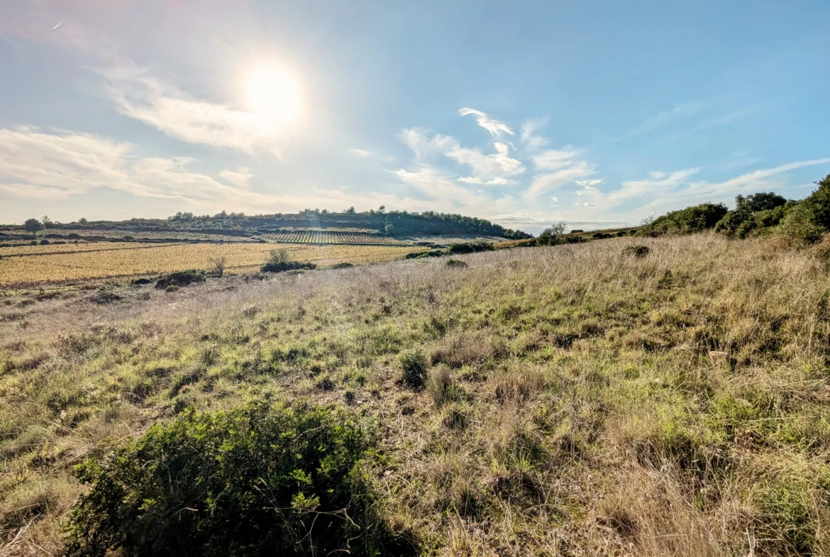 Terrain agricole avec puits à Murviel-les-Béziers - Vue imprenable et calme 