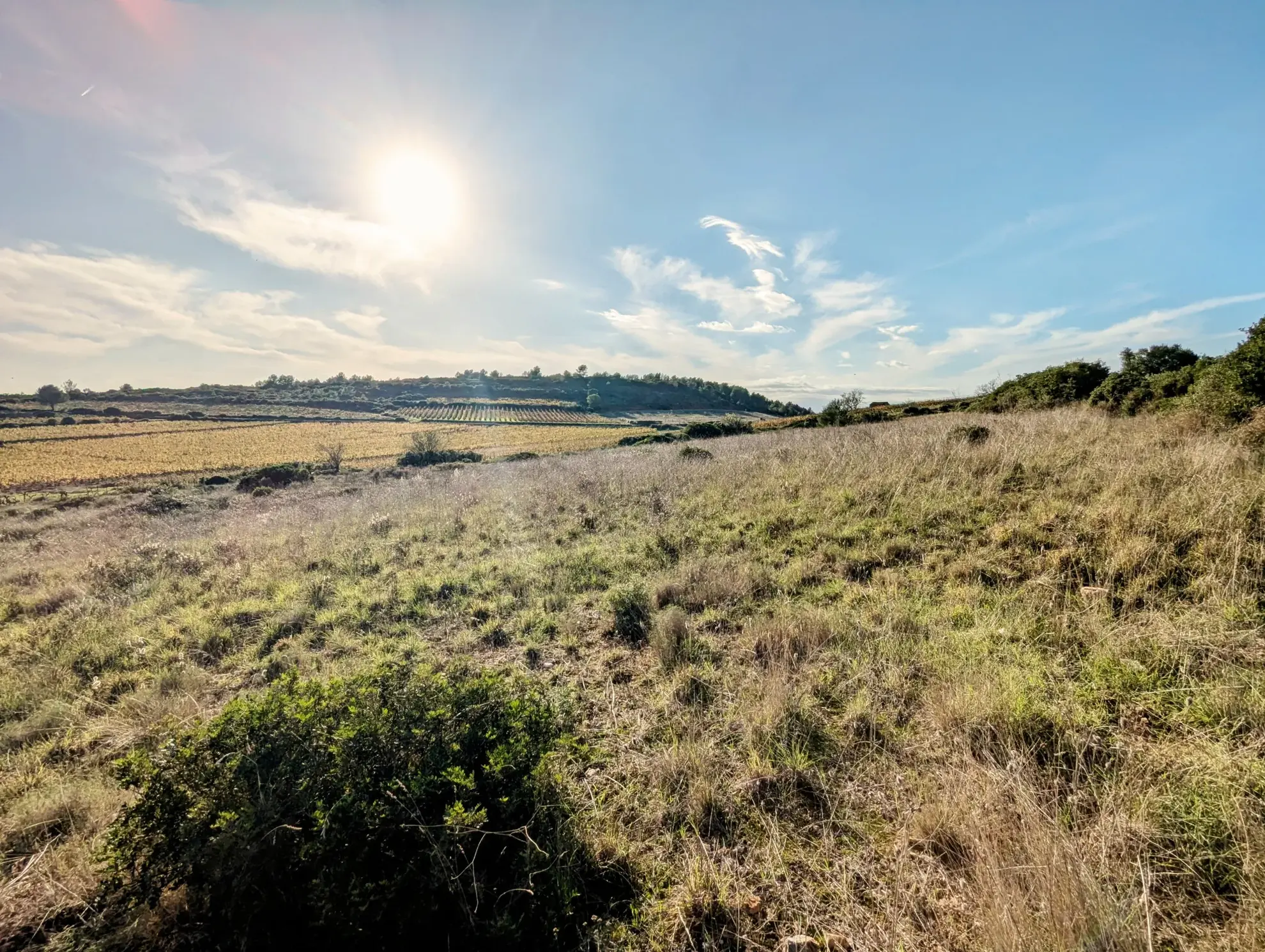 Terrain agricole avec puits à Murviel-les-Béziers - Vue imprenable et calme 