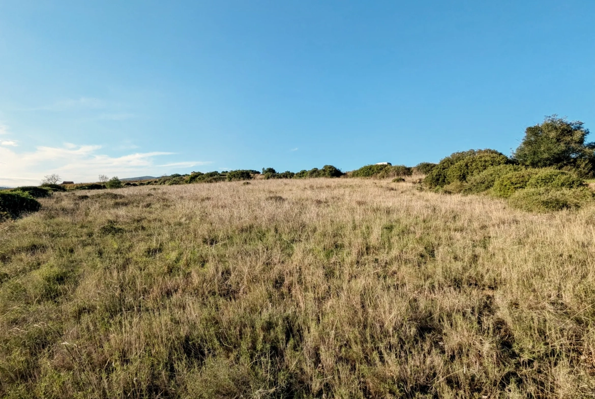 Terrain agricole avec puits à Murviel-les-Béziers - Vue imprenable et calme 