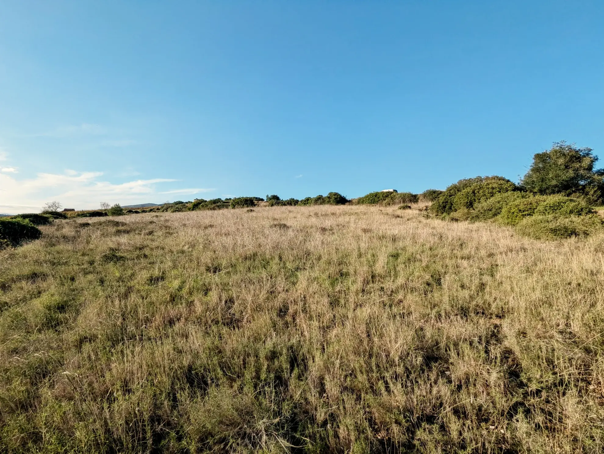 Terrain agricole avec puits à Murviel-les-Béziers - Vue imprenable et calme 