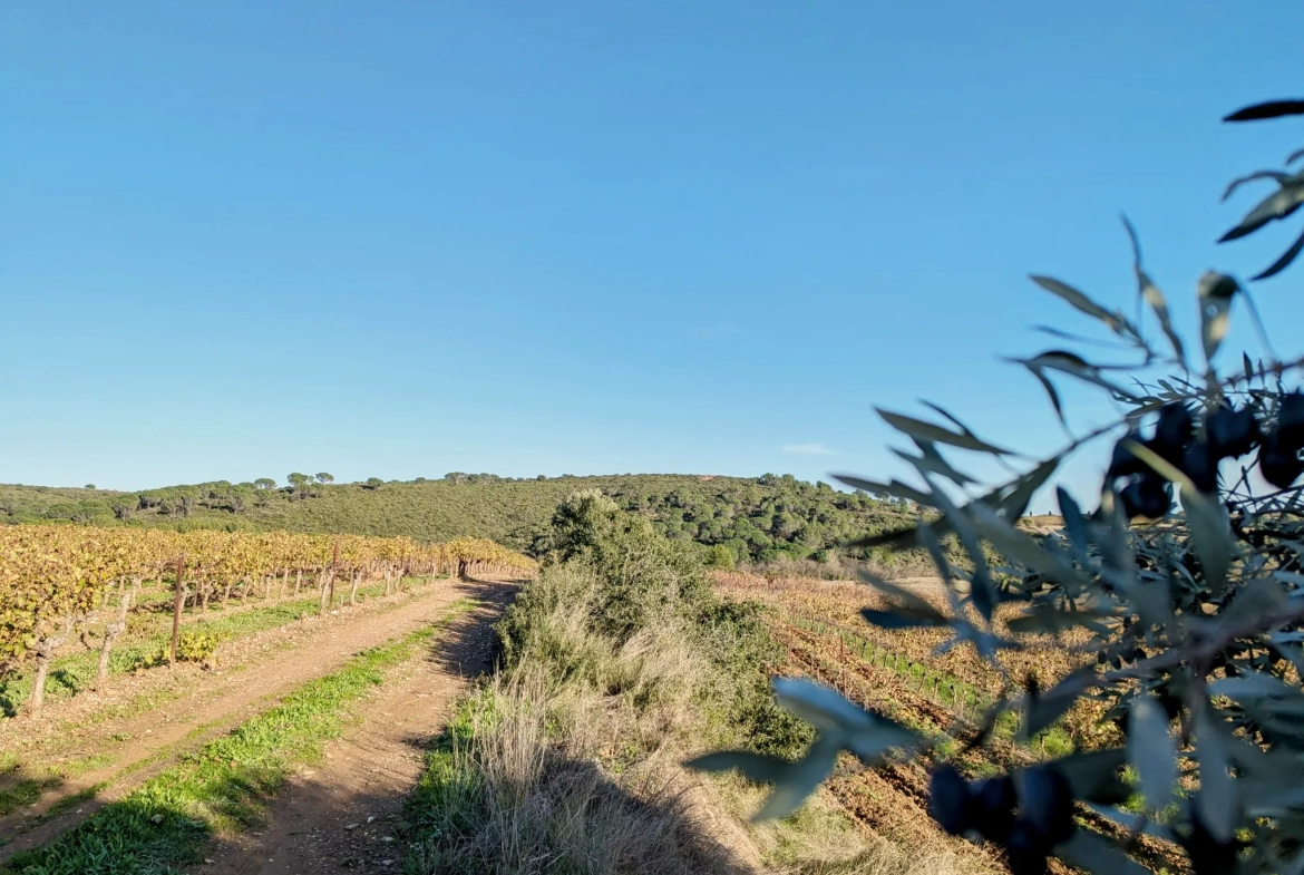 Terrain agricole avec puits à Murviel-les-Béziers - Vue imprenable et calme 
