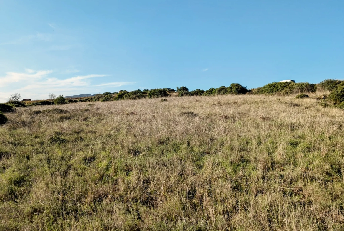 Terrain agricole avec puits à Murviel-les-Béziers - Vue imprenable et calme 