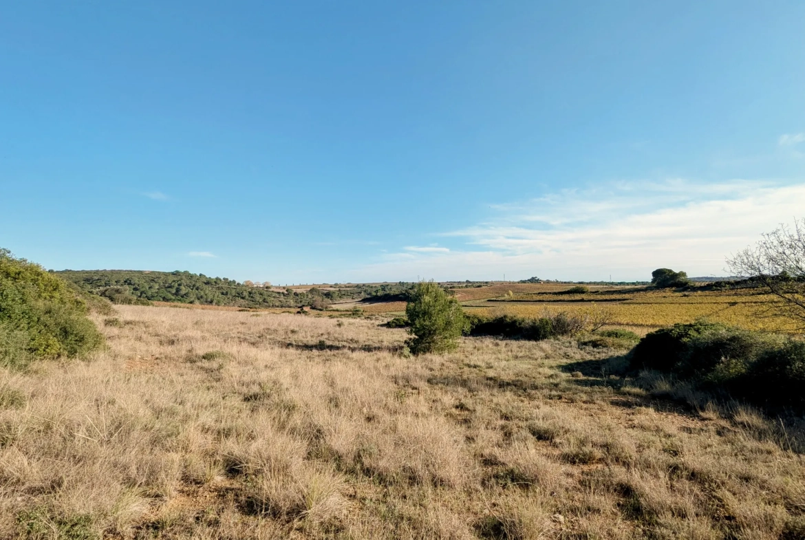 Terrain agricole avec puits à Murviel-les-Béziers - Vue imprenable et calme 