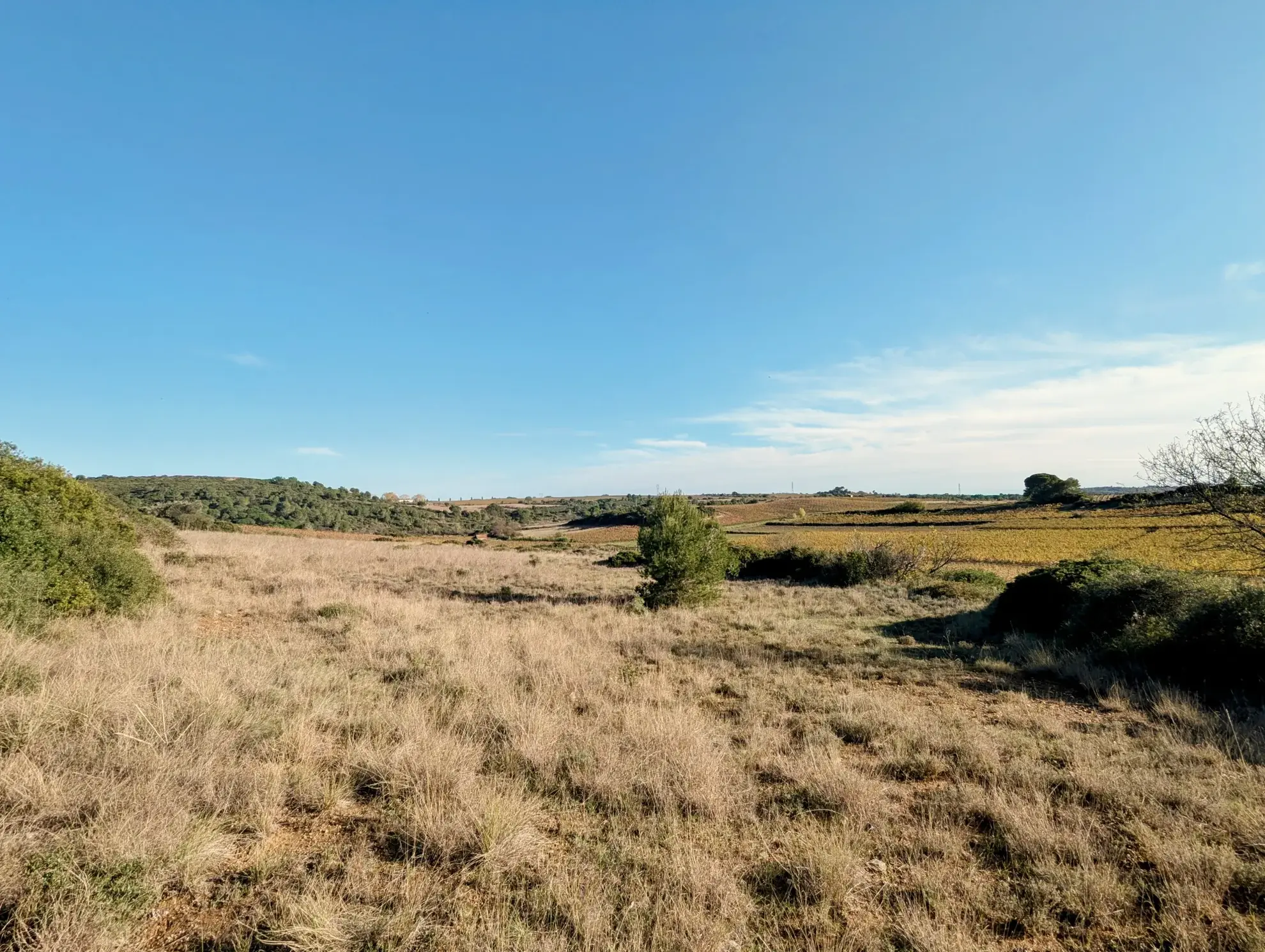 Terrain agricole avec puits à Murviel-les-Béziers - Vue imprenable et calme 