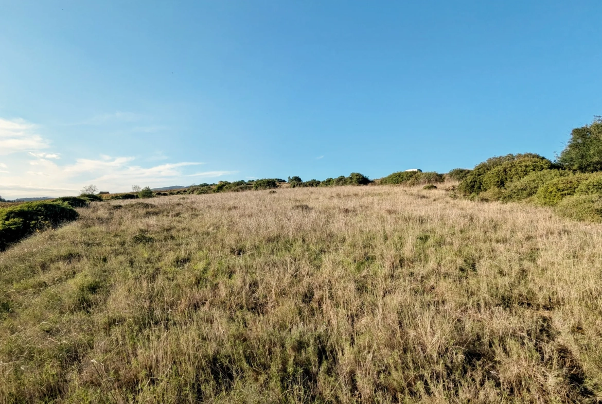 Terrain agricole avec puits à Murviel-les-Béziers - Vue imprenable et calme 