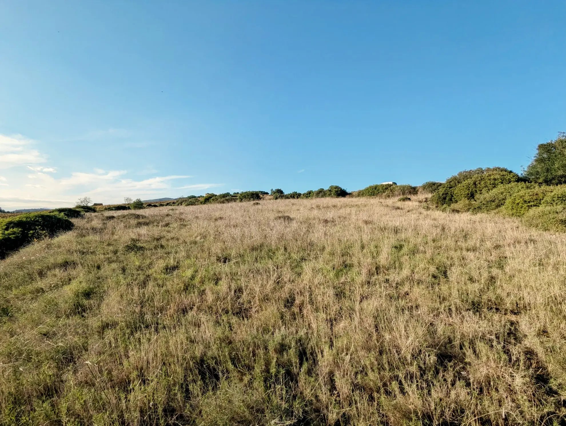 Terrain agricole avec puits à Murviel-les-Béziers - Vue imprenable et calme 