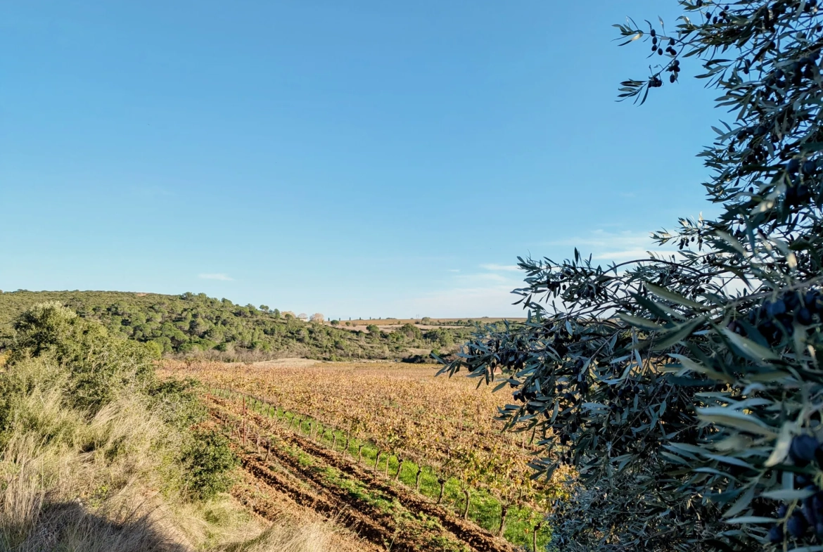 Terrain agricole avec puits à Murviel-les-Béziers - Vue imprenable et calme 