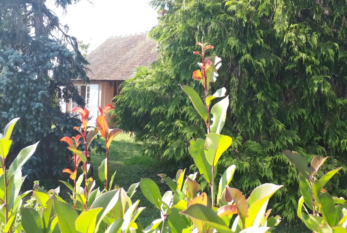 Charmante maison de 137 m² avec annexe et grand jardin à Les Ormes 