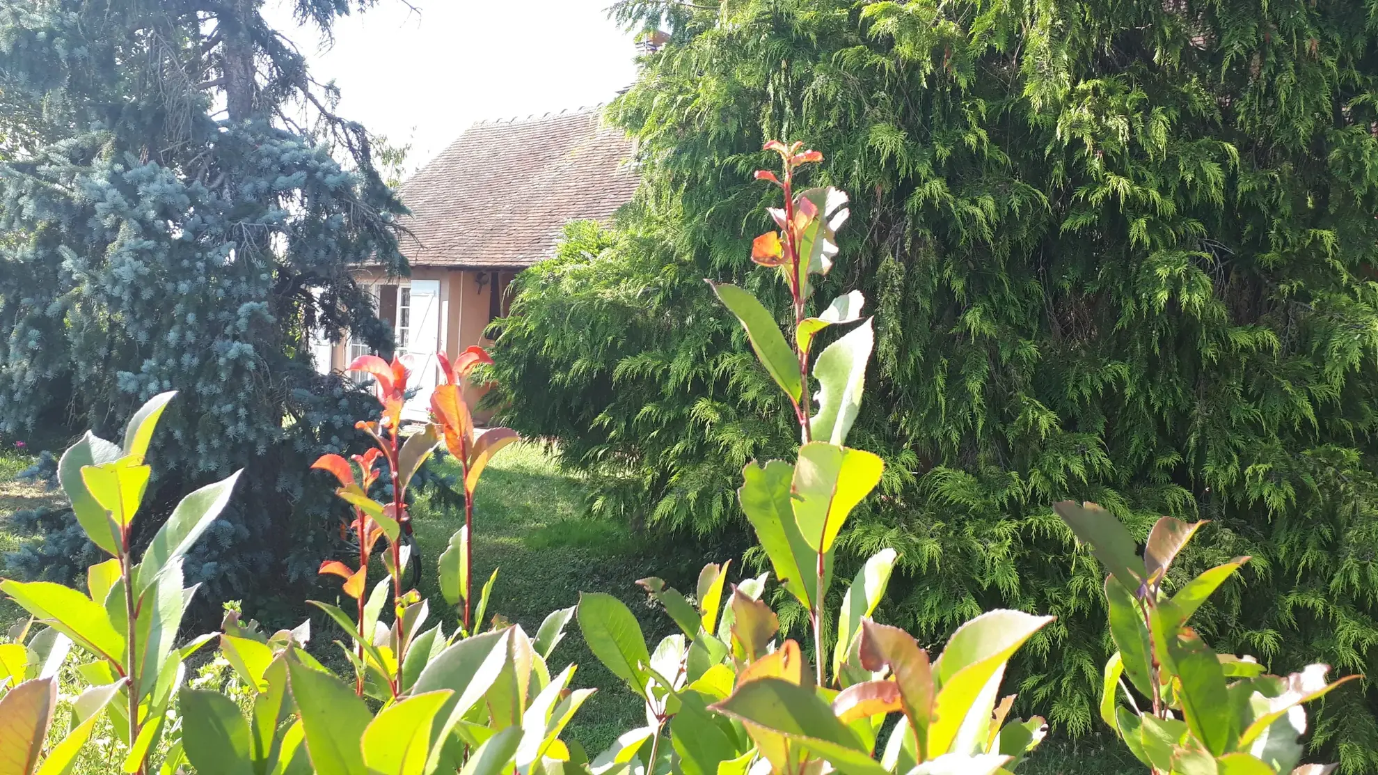 Charmante maison de 137 m² avec annexe et grand jardin à Les Ormes 