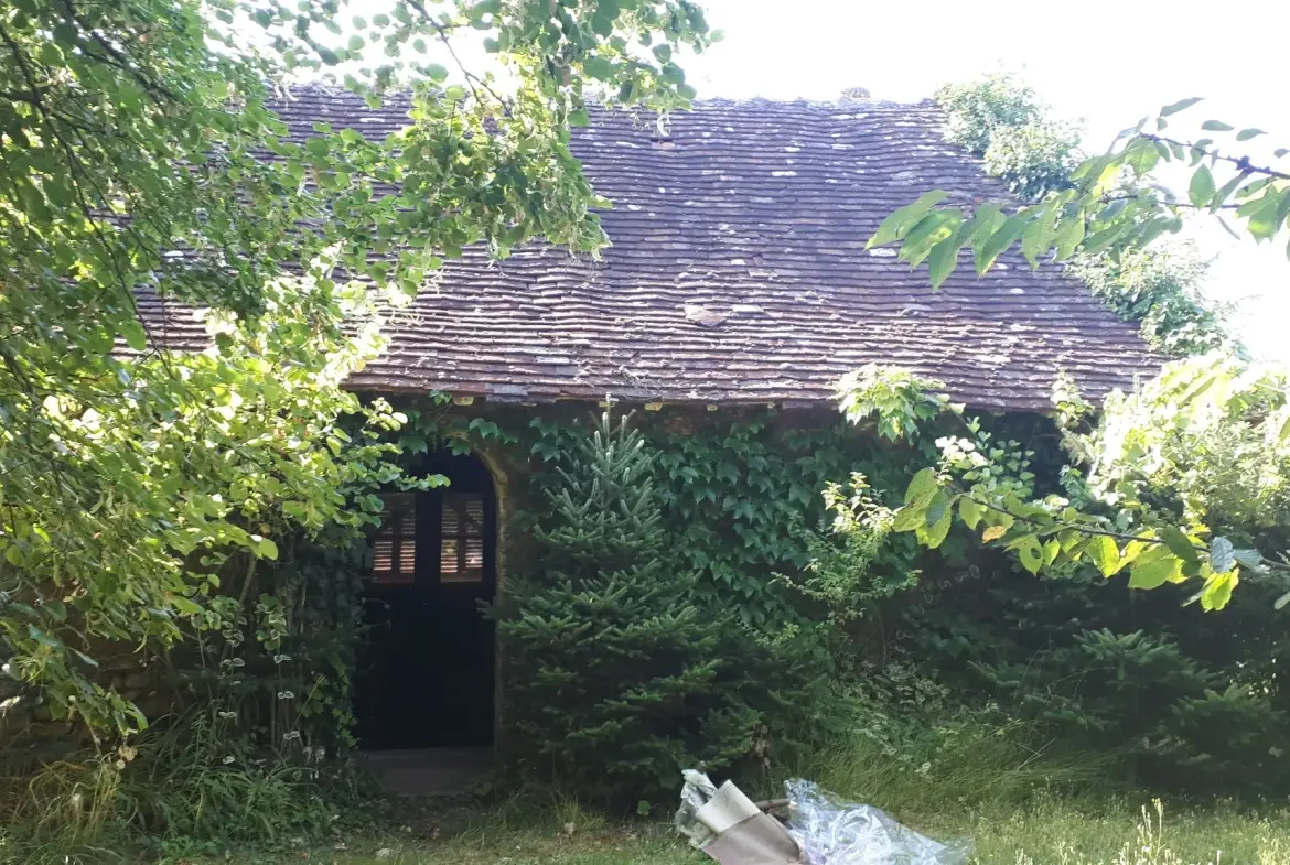 Charmante maison de 137 m² avec annexe et grand jardin à Les Ormes 