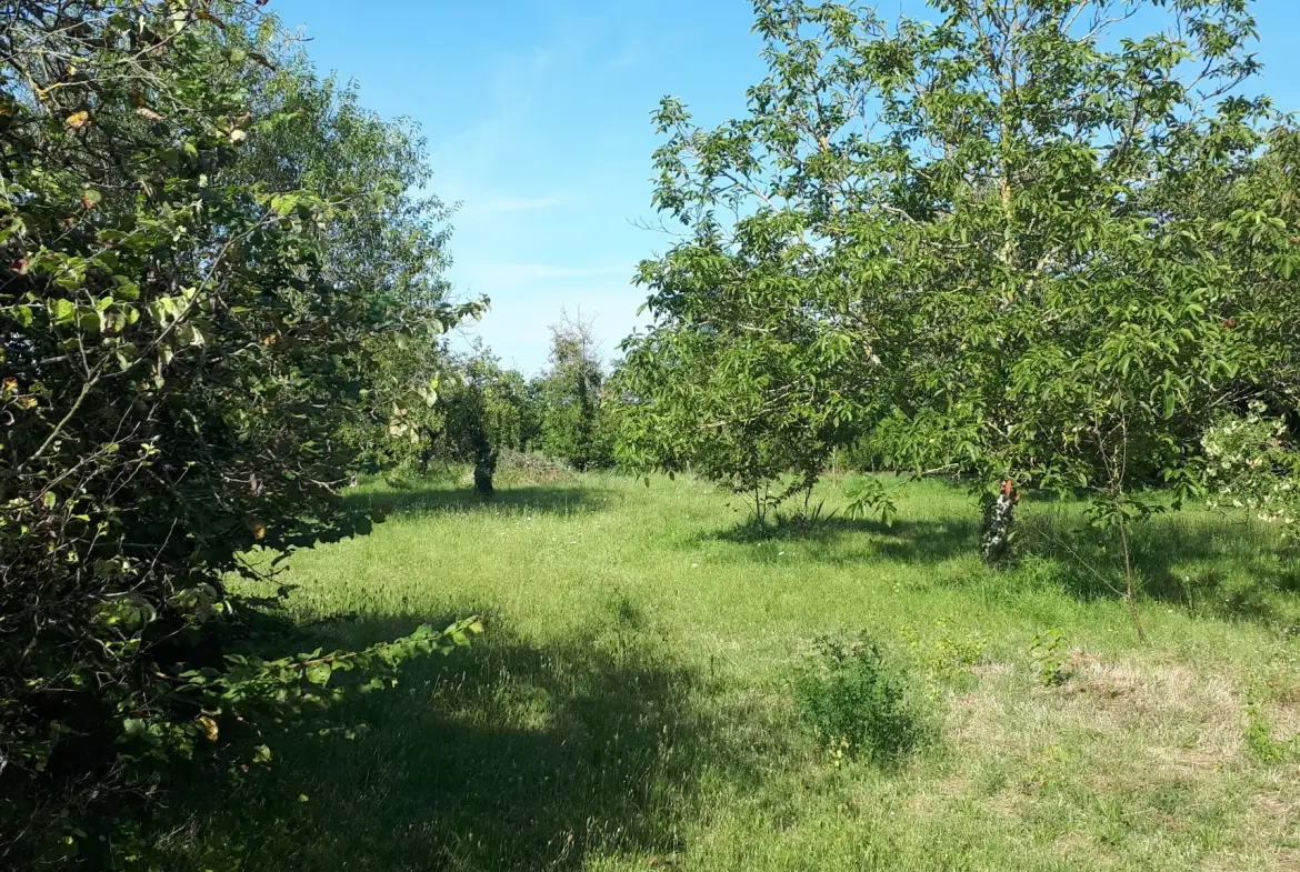 Charmante maison de 137 m² avec annexe et grand jardin à Les Ormes 