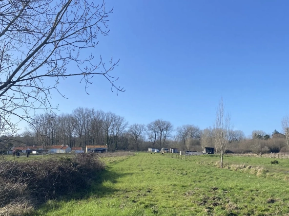 Terrain de loisirs de 2 600 m² à Saint-Hilaire-de-Riez - Exclu
