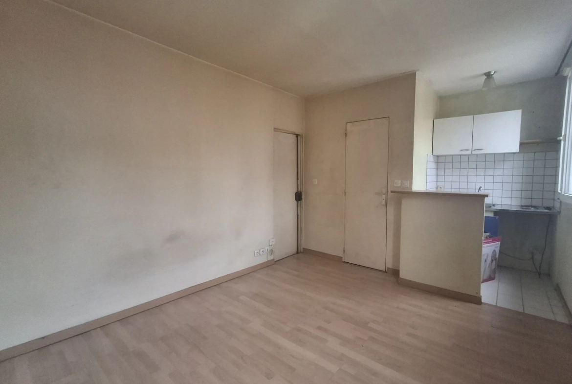 Studio à vendre Paris 13 face au parc de Choisy avec cave en dernier étage 
