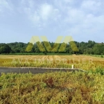 Terrain constructible de 1306 m² à Navarrenx, proche Sauveterre de Béarn
