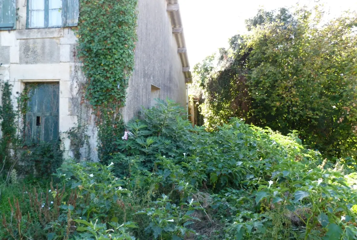 Charmante maison de campagne à rénover avec grange à Saint Georges de Noisné 