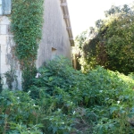 Charmante maison de campagne à rénover avec grange à Saint Georges de Noisné