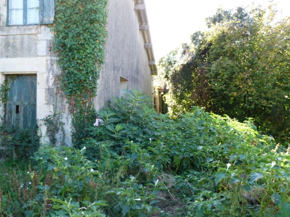 Charmante maison de campagne à rénover avec grange à Saint Georges de Noisné