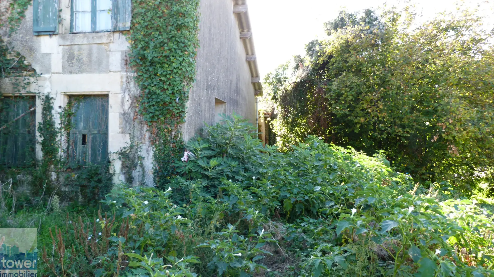 Charmante maison de campagne à rénover avec grange à Saint Georges de Noisné 