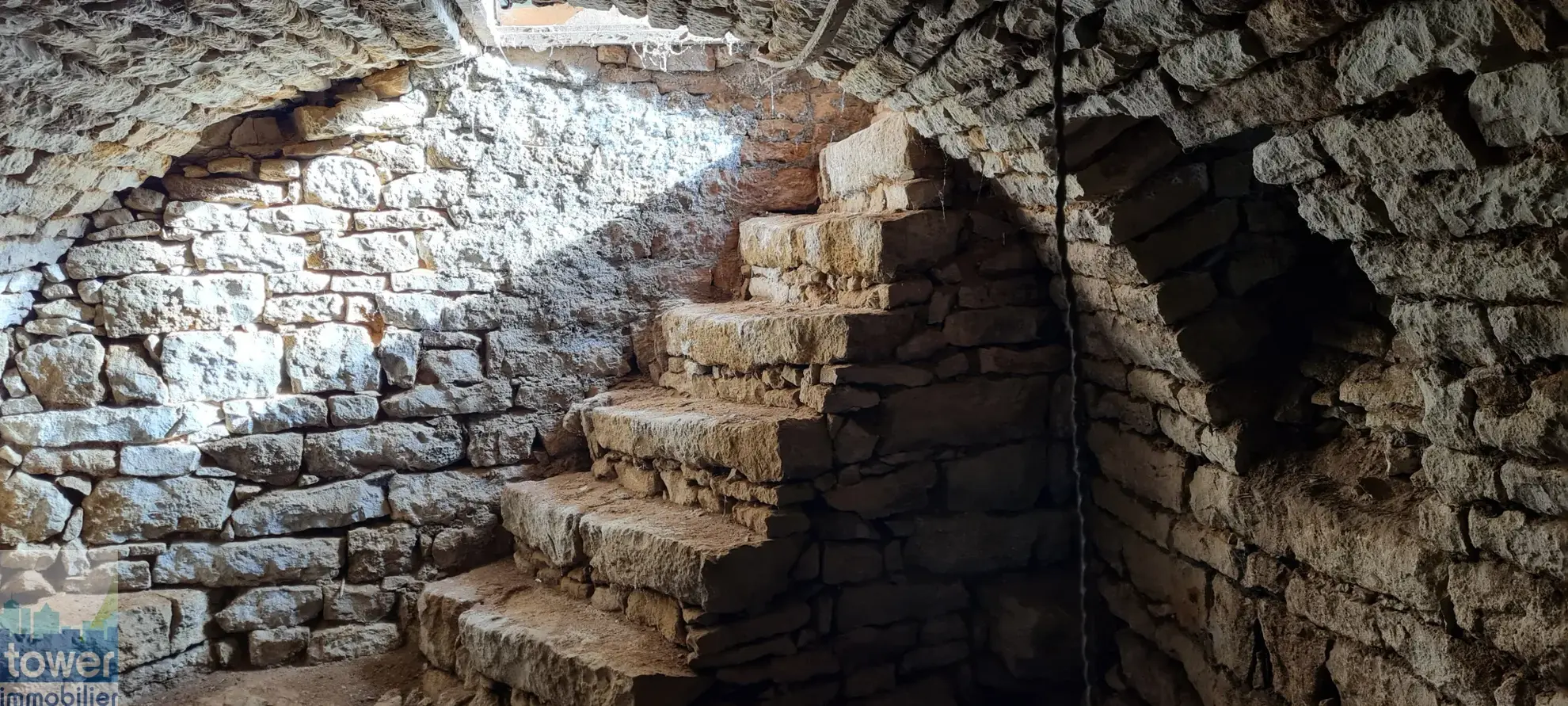 Charmante maison de campagne à rénover avec grange à Saint Georges de Noisné 