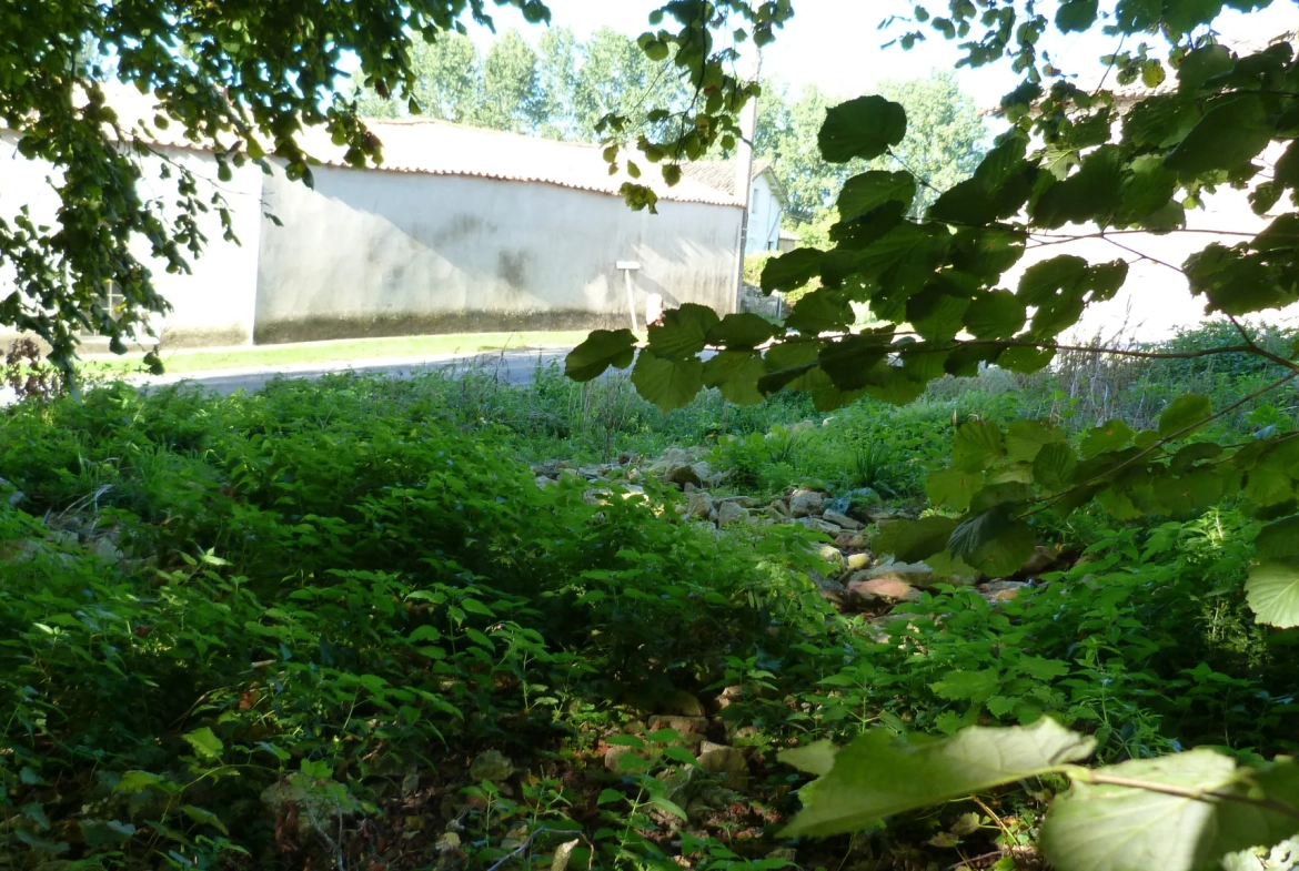 Charmante maison de campagne à rénover avec grange à Saint Georges de Noisné 