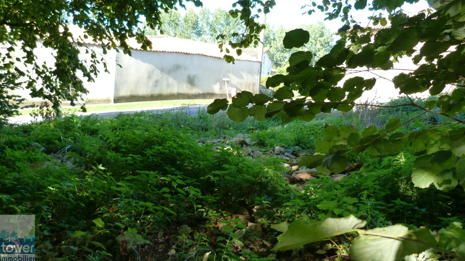 Charmante maison de campagne à rénover avec grange à Saint Georges de Noisné 