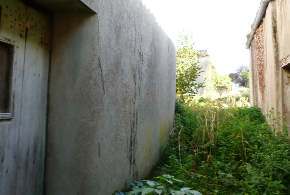 Charmante maison de campagne à rénover avec grange à Saint Georges de Noisné 