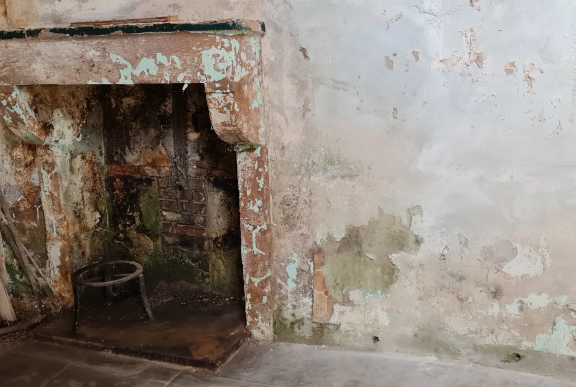 Charmante maison de campagne à rénover avec grange à Saint Georges de Noisné 