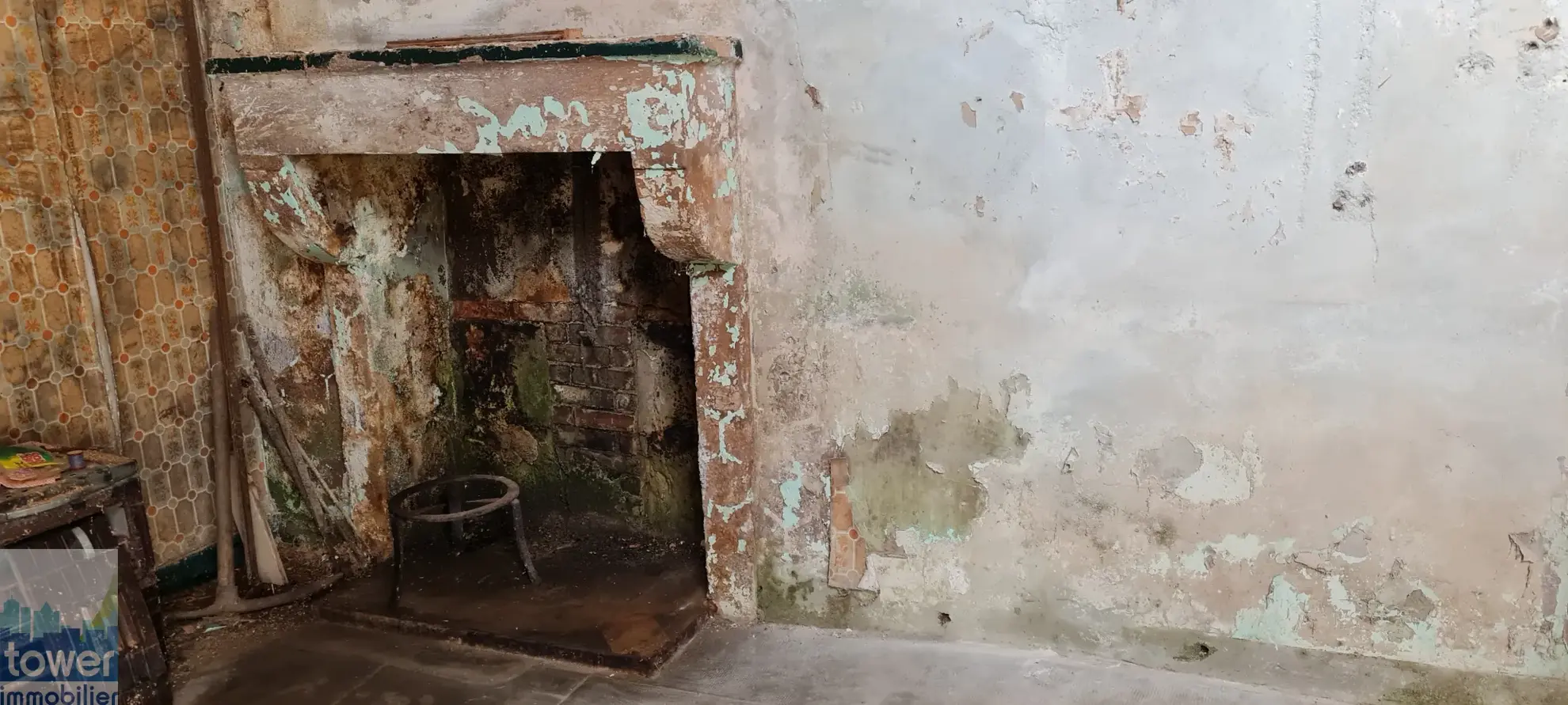 Charmante maison de campagne à rénover avec grange à Saint Georges de Noisné 