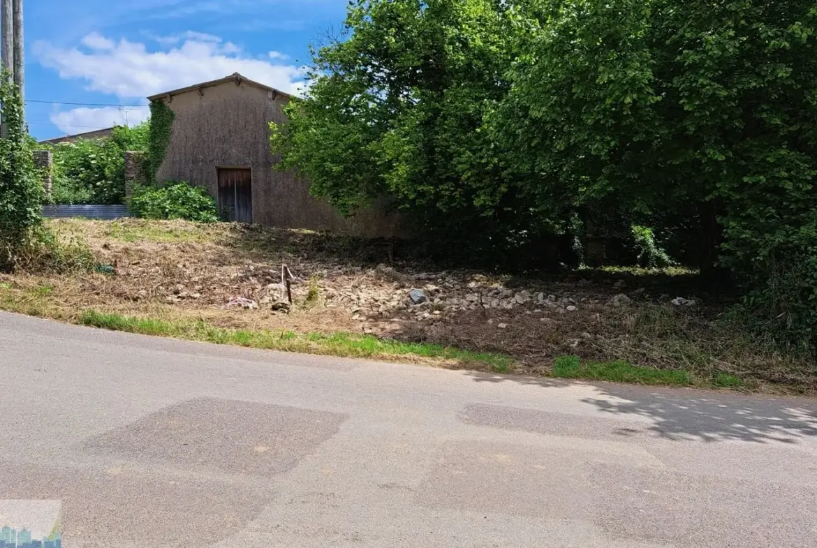 Charmante maison de campagne à rénover avec grange à Saint Georges de Noisné 