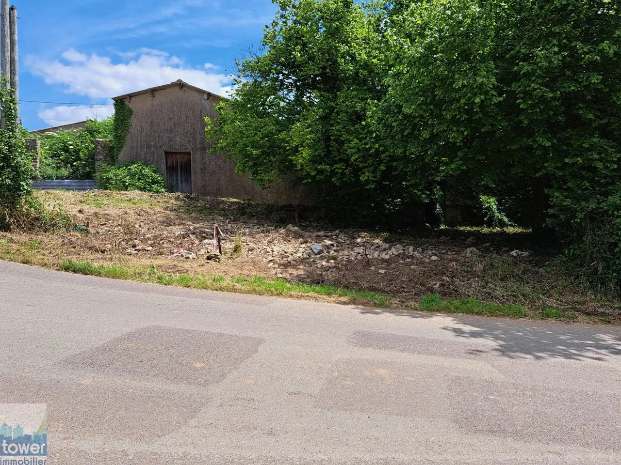 Charmante maison de campagne à rénover avec grange à Saint Georges de Noisné 