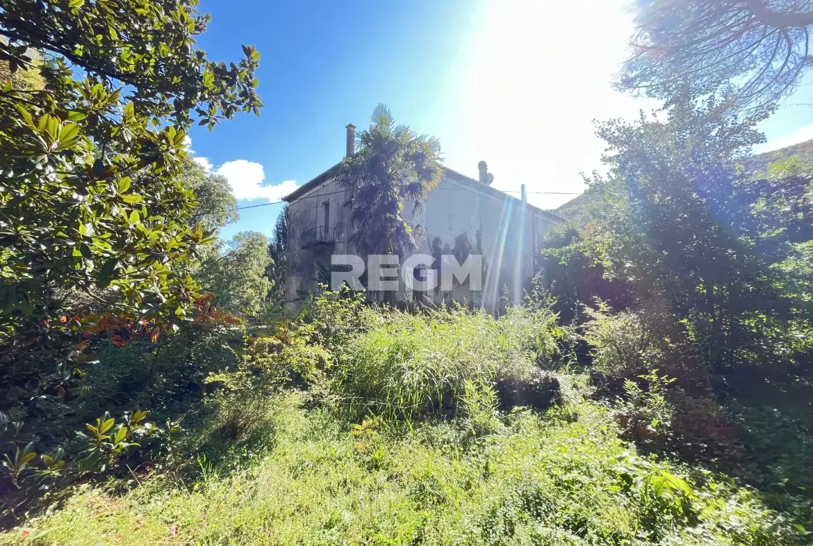 Belle maison bourgeoise 9 pièces avec cave et terrain à Saint-Jean-de-Valeriscle 